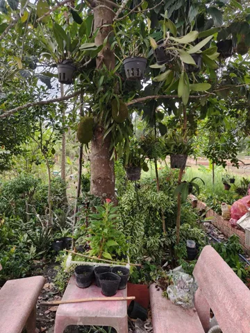 ☘️ BÁN ĐẤT MẶT TIỀN LÊ THỊ HỞI - TÂN THÔNG HỘI CỦ CHI