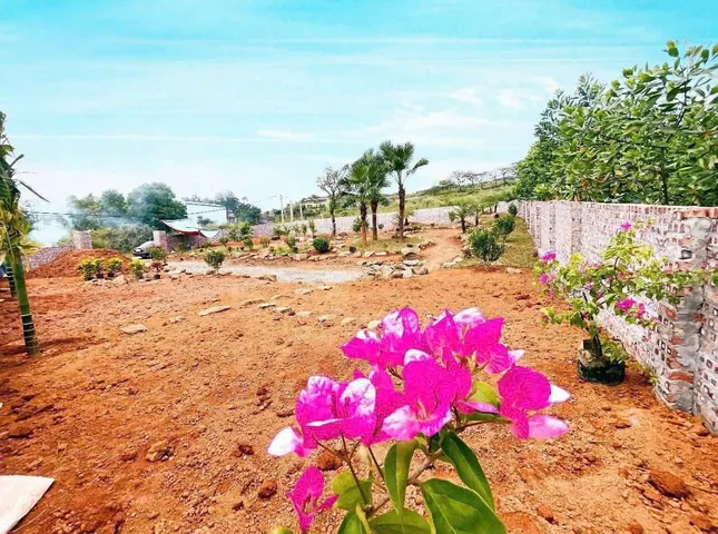 sở hữu ngay gần 1.000m² đất tại đô thị vệ tinh Hòa Lạc