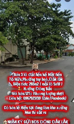 ✈️ BÁN 3 LÔ LIỀN KỀ MT TỐ HỮU

📐 285m² (5x19/lô)
🏜️ Hướng Đông Bắc
🏢 Đang làm kho xưởng – có thể tách lẻ

💰 12 tỷ (TL nhẹ)

☎️ 0967 923 139 (Zalo)

🏠 Nhận ký gửi BĐS Phú Yên