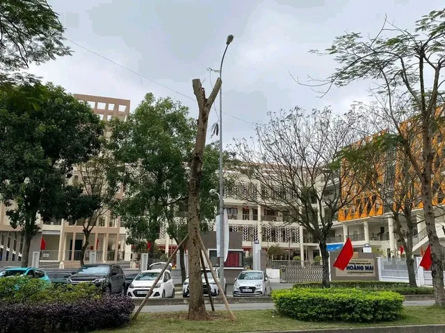 BÁN GẤP CĂN HỘ GELECIA TAM TRINH  HOÀNG MAI 74M TIỆN ÍCH VĂN MINH CHỈ 6,6 TỶ