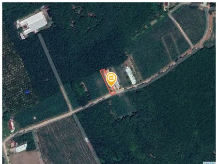 Bán đất 566.6m² có sẵn 100m² thổ cư ngang 10m tại Xã An Long