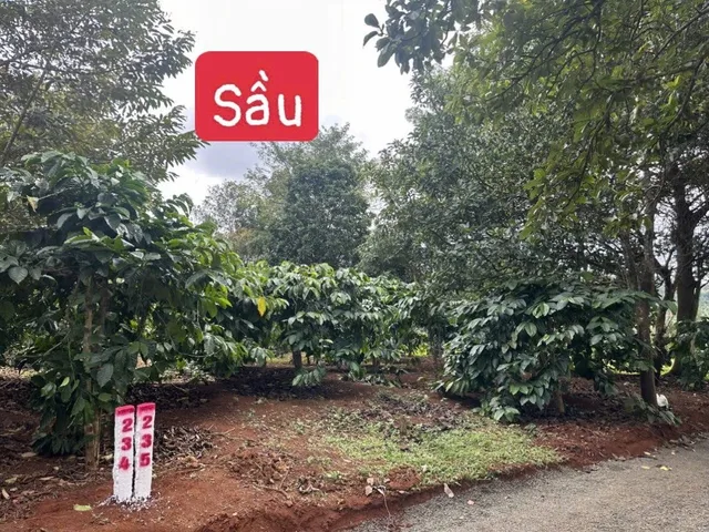 Bán đất 691.9m² ngang 13m giá 220 triệu tại Xã Cư Pơng