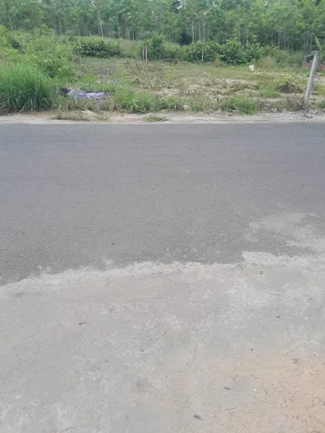 147m2 Đất An Điền , Bến Cát - Đường Nhựa Thông Công Ty Ga - Giá 1 ty 8
