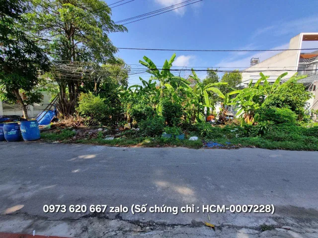 (B620) Đất 1/ Trần Tử Bình, xã Tân Thông Hội, dt 1.258m2, thổ cư 600m2, giá 20 tỷ