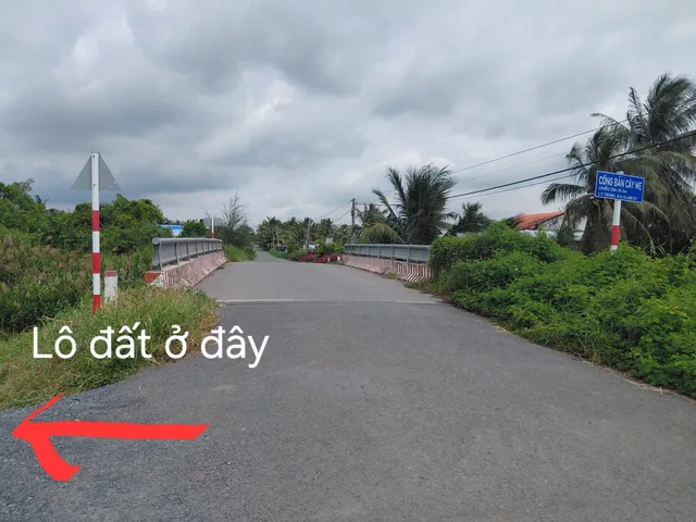 Chính chủ cần bán đất vườn dừa tơ đang cho trái