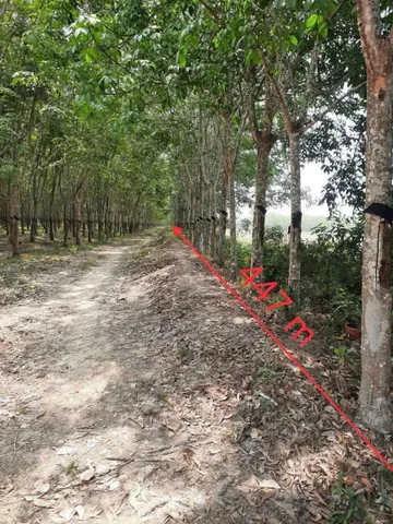 Bán đất 22000m² ngang 447m giá 4.4 tỷ tại Xã Long Chữ