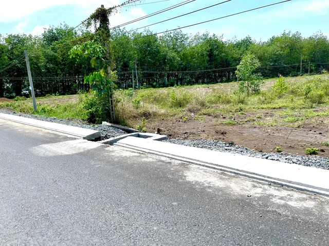 Bán đất 4390.7m² có sẵn 300m² thổ cư ngang 60m giá 450 triệu tại Xã An Thạnh