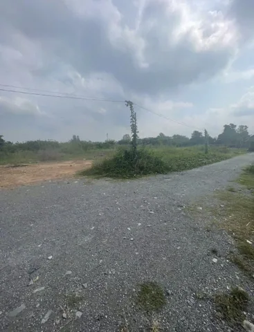 Bán đất vườn 1864m thổ cư 150m -phường chánh Hiệp thành phố Hồ Chí Minh