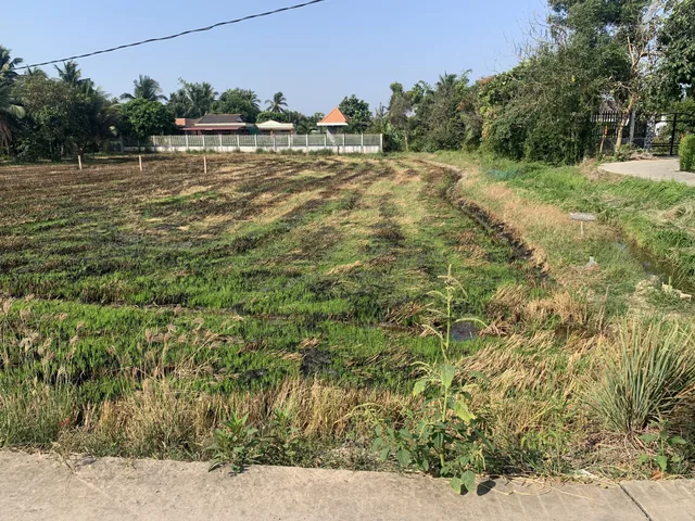 Chủ cần tiền bán gấp