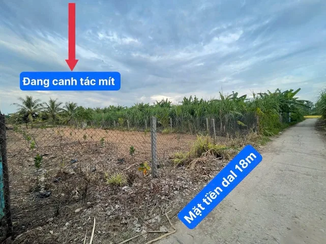 Đất Vườn- Đa Phước, Vĩnh Hậu