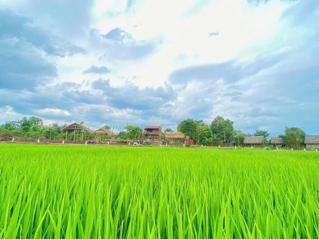 🌿 FARM VIEW CÁNH ĐỒNG – HÒA PHÚ 🌾
📍 Phan Huy Chú kéo dài – BMT
✅ 3 sào – 85m mặt tiền view cánh đồng cực đẹp
🏡 Phù hợp làm farm, homestay, nghỉ dưỡng