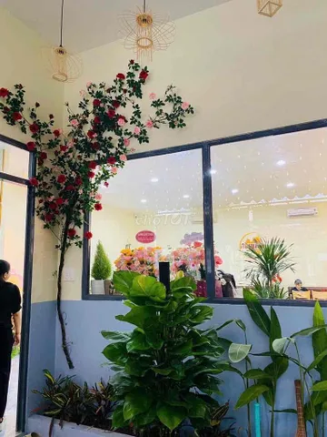 Cần sang lỗ quá cà phê ngay KDC Chánh Nghĩa chỉ 350triêu