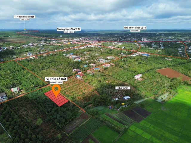 Bđs nền