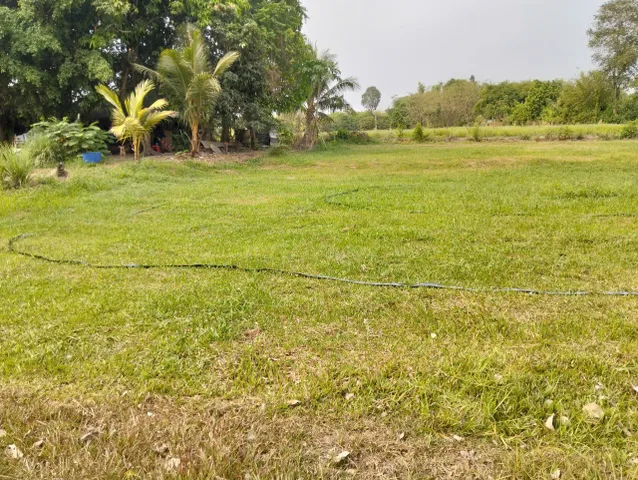 Bán đất 376.1m² ngang 10m giá 750 triệu tại Xã Thái Mỹ