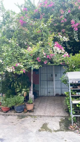 🏠 BÁN NHÀ ĐẶNG VĂN BI – NGANG 5.5M x 47M – GIÁ ĐẦU TƯ 23 TỶ