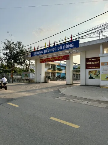 Cắt lỗ lô đất cạnh trường tiểu học cổ đông – chủ cần bán gấp