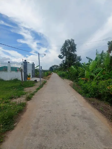 Đất full thổ 248m2 (5x49,8) Lộ Tập Đoàn 5, Bình Thạnh, Thủ Thừa, Long An, giá 2,5 tỷ TLCC