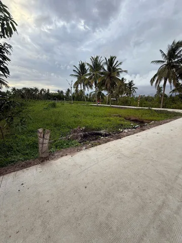 hai mat tien duong nhua 3m
