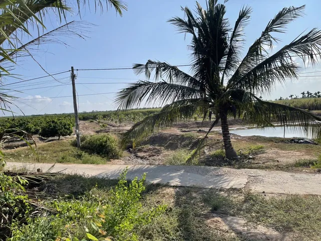 Bán đất 20000m² có sẵn 300m² thổ cư ngang 110m giá 230 triệu/CÔNG tại Xã An Thạnh