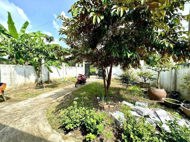 Bán nhà vườn 2 mặt tiền đường oto xã Thạnh Đức dt 235,5m2 full thổ giá 2,39 tỷ