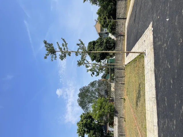 Chỉ 3 tỷ sở hữu 100m,tại Đồng Trạng,full thổ cư,View Nhà Văn hóa,sát Tomodachi Làng Mít,gần QL 21