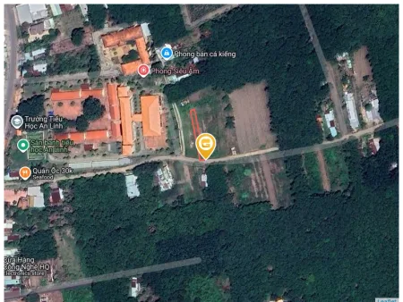 Bán đất 296.4m² có sẵn 100m² thổ cư ngang 5m tại Xã An Long