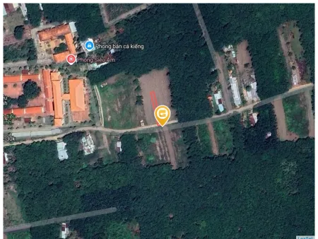 Bán đất 249.5m² có sẵn 100m² thổ cư ngang 5m tại Xã An Long