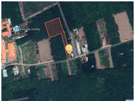 Bán đất 3796.5m² có sẵn 100m² thổ cư ngang 20m tại Xã An Long