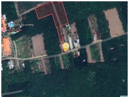 Bán đất 7537m² có sẵn 100m² thổ cư ngang 50m giá 1.1 tỷ tại Xã An Long