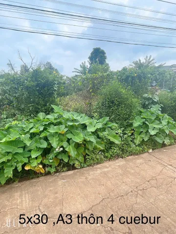 Bán đất 150m² có sẵn 60m² thổ cư ngang 5m giá 1.65 tỷ tại Phường Buôn Ma Thuột