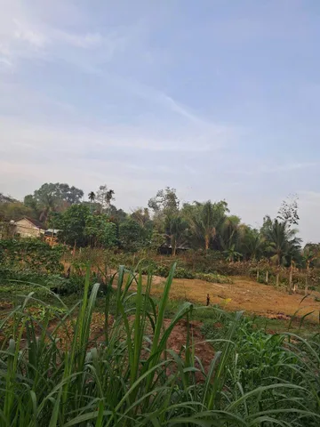 CƠ HỘI HIẾM ĐẤT FULL THỔ CƯ 2 MẶT TIỀN CỦ CHI