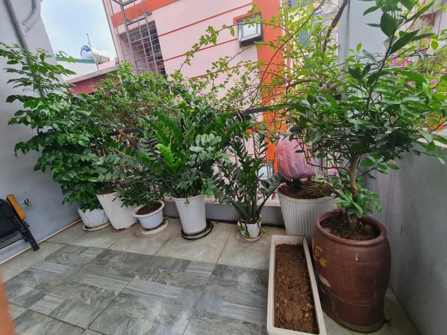 Bán Nhà dân xây mặt tiền rộng 7.5m 3 tầng 4 ngủ, diện tích 46 m2, gần phố giá 10.9 tỷ