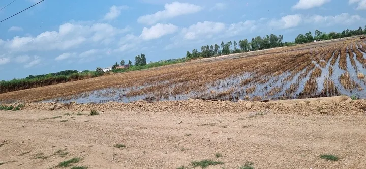 Đất khu du lịch Đồng Sen DT lớn 21160m2 Đất nông nghiệp , thích hợp mở nhà hàng , quán ăn, kho xưởng