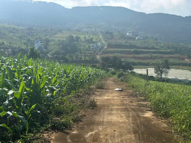 ⛰️ CHỈ 450 TR - SỞ HỮU NGAY LÔ ĐẤT VIEW ĐỒI "CỰC PHẨM" TẠI NAM BAN- VEN ĐÀ LẠT