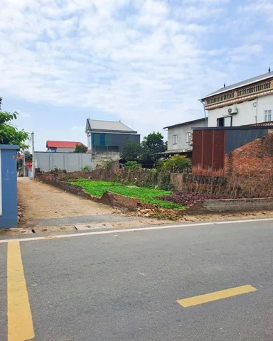 Đất chính chủ Đông Anh - Giá đầu tư - đón đầu quy hoạch