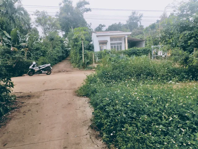 Bán đất 243m² có sẵn 60m² thổ cư ngang 11m giá 1.3 tỷ tại Xã Cuôr Đăng