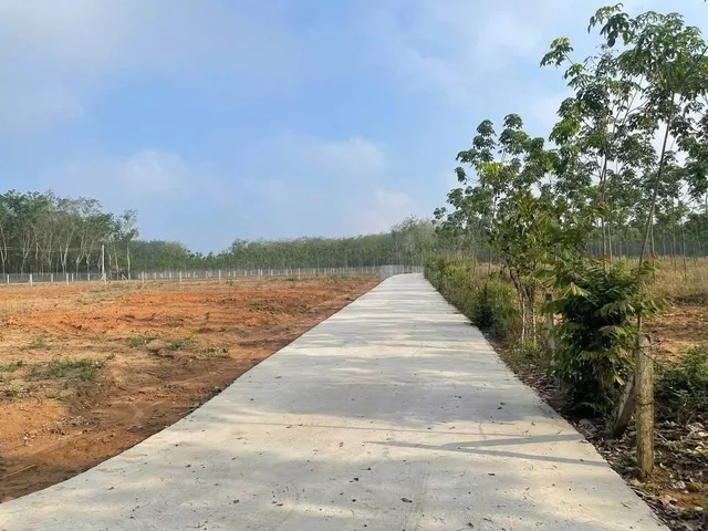 ĐẤT SÀO PHÚ GIÁO – SAU LƯNG GIÁP SUỐI MÁT QUANH NĂM HƠN 4 SÀO GIÁ 890TR