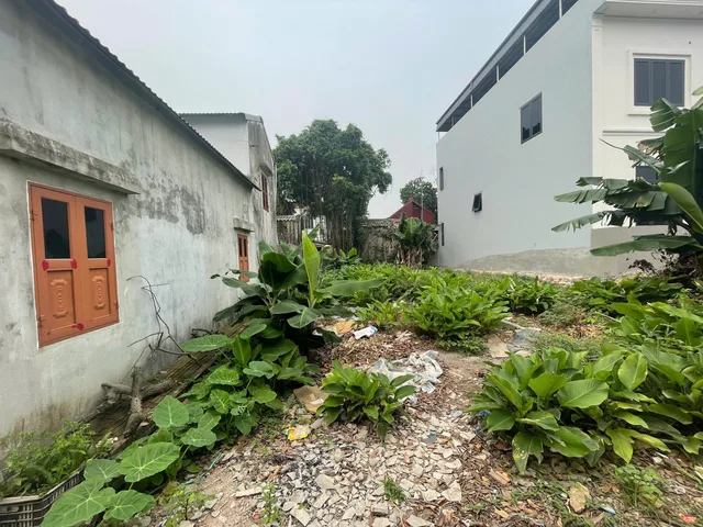 ĐẤT ĐẦU LÀNG TAM GIÁP HIẾM BÁN XÂY TRỌ NGAY