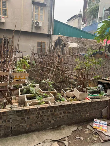 NHỈNH 6 TỶ SỞ HỮU NGAY LÔ TRUNG TÂM TRÂU QUỲ GIA LÂM– LÔ ĐẸP Ô TÔ TRÁNH – CỰC HIẾM KHÔNG CÓ LÔ THỨ 2