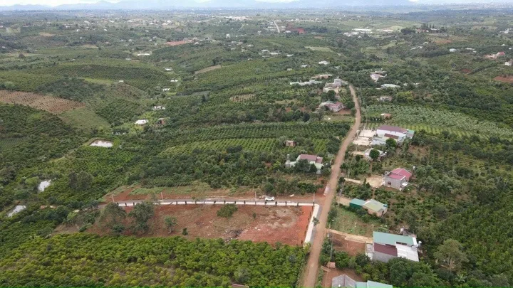 Bán gấp