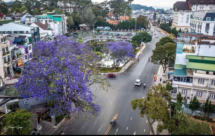 Hiếm có khó tìm mặt tiền đường Trần Phú con đường huyết mạch . ngay trung tâm hành chính tỉnh Lâm Đồng