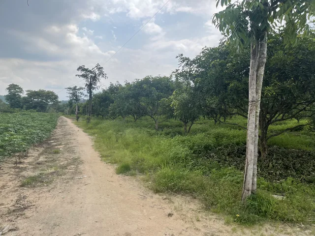 Bán đất Mặt Tiền Đường rộng 22m nở hậu 
4500m² ngang 45m giá 45 tỷ tại đường QL 55 Xã Hàm Tân