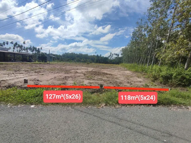 Mặt tiền đường nhựa 6m, xã Gia Lộc 245m2 - 750tr - SHR công chứng ngay