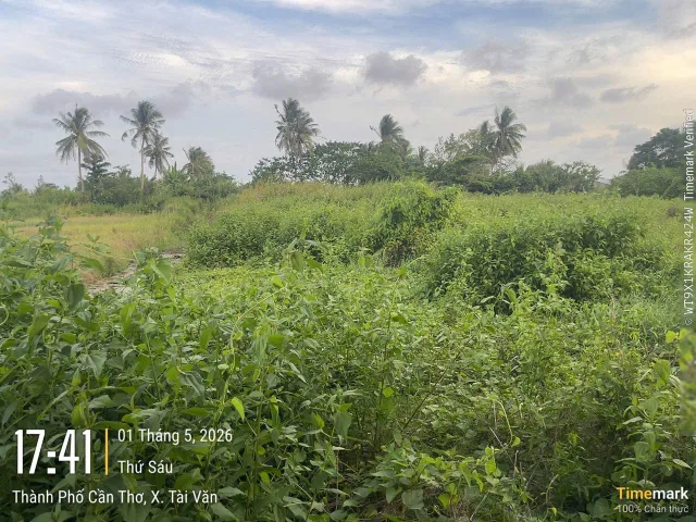 Bán đất 2930m² có sẵn 100m² thổ cư ngang 70m giá 4 tỷ tại Xã Tài Văn