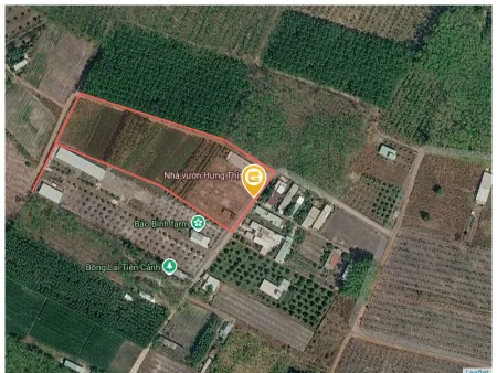 Bán đất 255m² có sẵn 50m² thổ cư ngang 5m giá 550 triệu tại Phường Chơn Thành