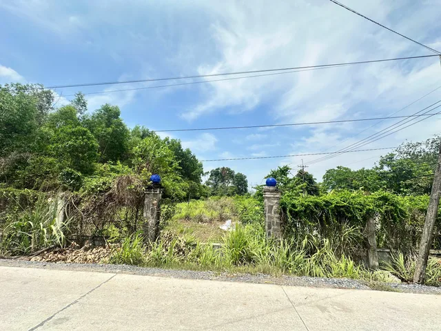 Siêu Phẩm Đất Vườn tại tân an hôi mặt tiền nguyễn thị chiên 500m2