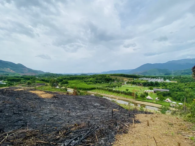 HƠN 6,8 HECTA ĐẤT RỪNG GẦN SUỐI ĐẸP HÒA NINH GẦN ĐƯỜNG VÀNH ĐAI PHÍA TÂY - GIÁ ĐẦU TƯ