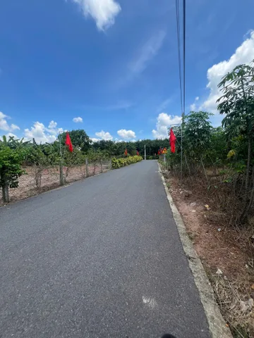 Bán lô đất sào ngang 20m, thổ cư 100m2, diện tích 2435m2. Giá 790 triệu