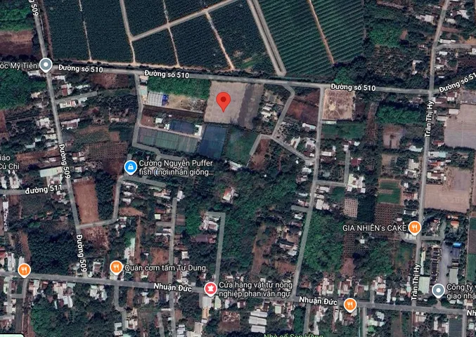 Bán đất 10038m² có sẵn 2000m² thổ cư ngang 100m giá 23 tỷ tại Xã Nhuận Đức