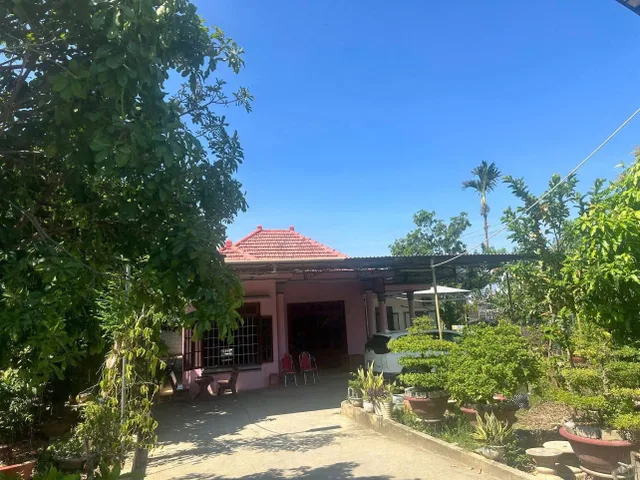 🏠Chủ nhà kẹt tiền muốn bán căn nhà vườn cây ăn quả,dt 1078,0 m2 gần bệnh viện nhiệt đới 😍
💸12 tỷ (thương lượng khách thiện chí )